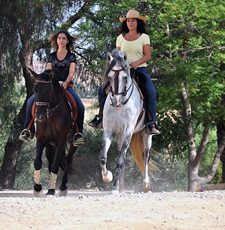 Spain-Southern Spain-Hacienda Buena Suerte
